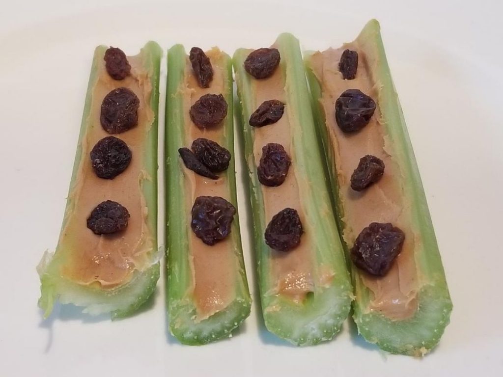 Fun Kids Snack Ideas Ants on a Log. Yummy & healthy celery sticks with peanut butter and raisins.