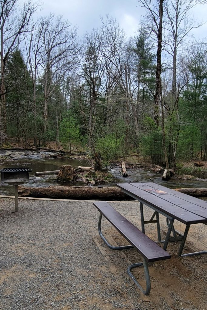 Take a break from hiking at a picnic area in the Smoky Mountains. This one is located at the start of Cades Cove loop drive.