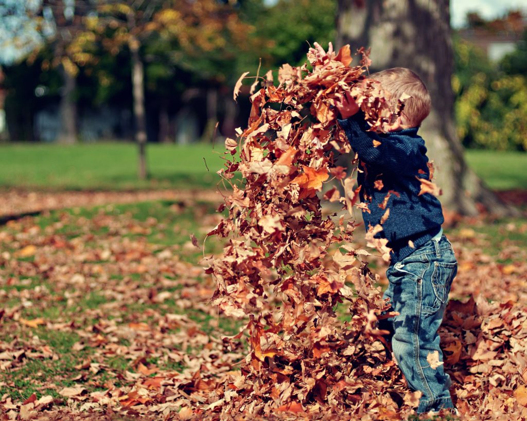 Letting the kids jump in the fall leaves is the best Fall family tradition, Let the kids jump and throw the colorful leaves all over.